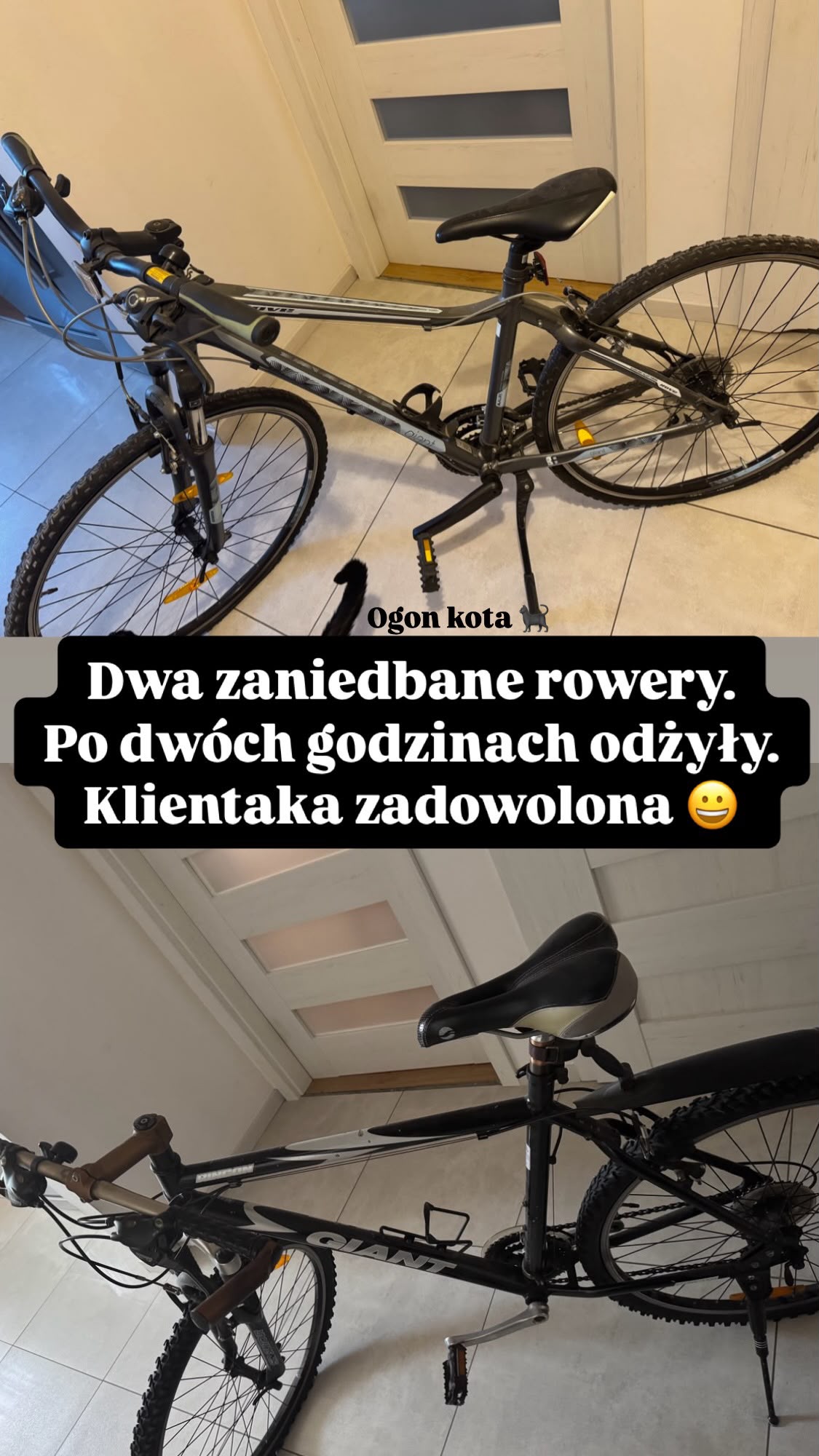 Dwa zaniedbane rowery po 2h odżyły